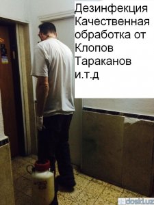 Прочий ремонт и сервис: Дезинфекция