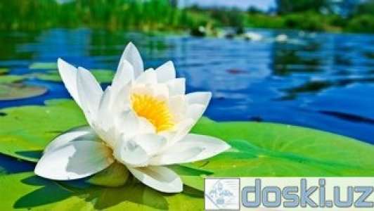 Маркетинг, реклама, PR: Заработай 1 бит коин