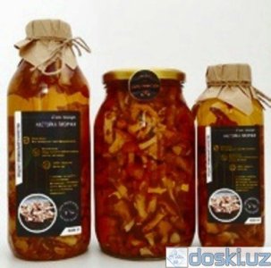 Медицина, фармацевтика: Гриб Лисичка настойка