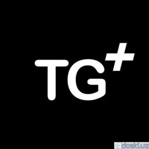 ИТ консалтинг: TGplus net - Разработка Телеграм ботов (и не только) любой сложности