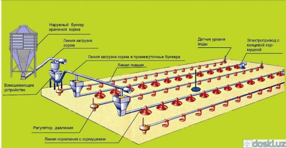 Сельскохозяйственное оборудование: Оборудование для  напольного  выращивания  бройлеров