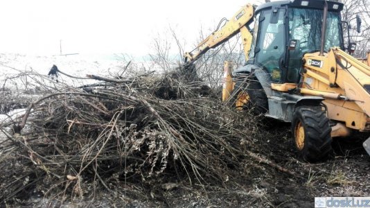 Прочая уборка: Tашкент   Расчистка участков, спил деревьев, вывоз