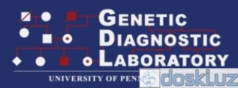 Медицина, фармацевтика: Genetic Diagnostic Laboratory 1 - приглашаем на работу здоровых людей