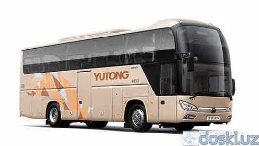 Автобусы: Туристические автобусы Yutong.